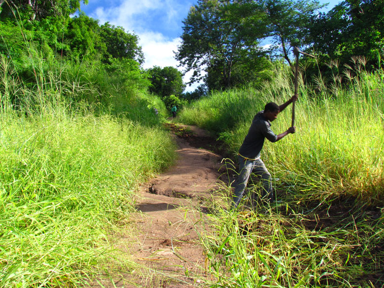 seguimos haciendo el paso
